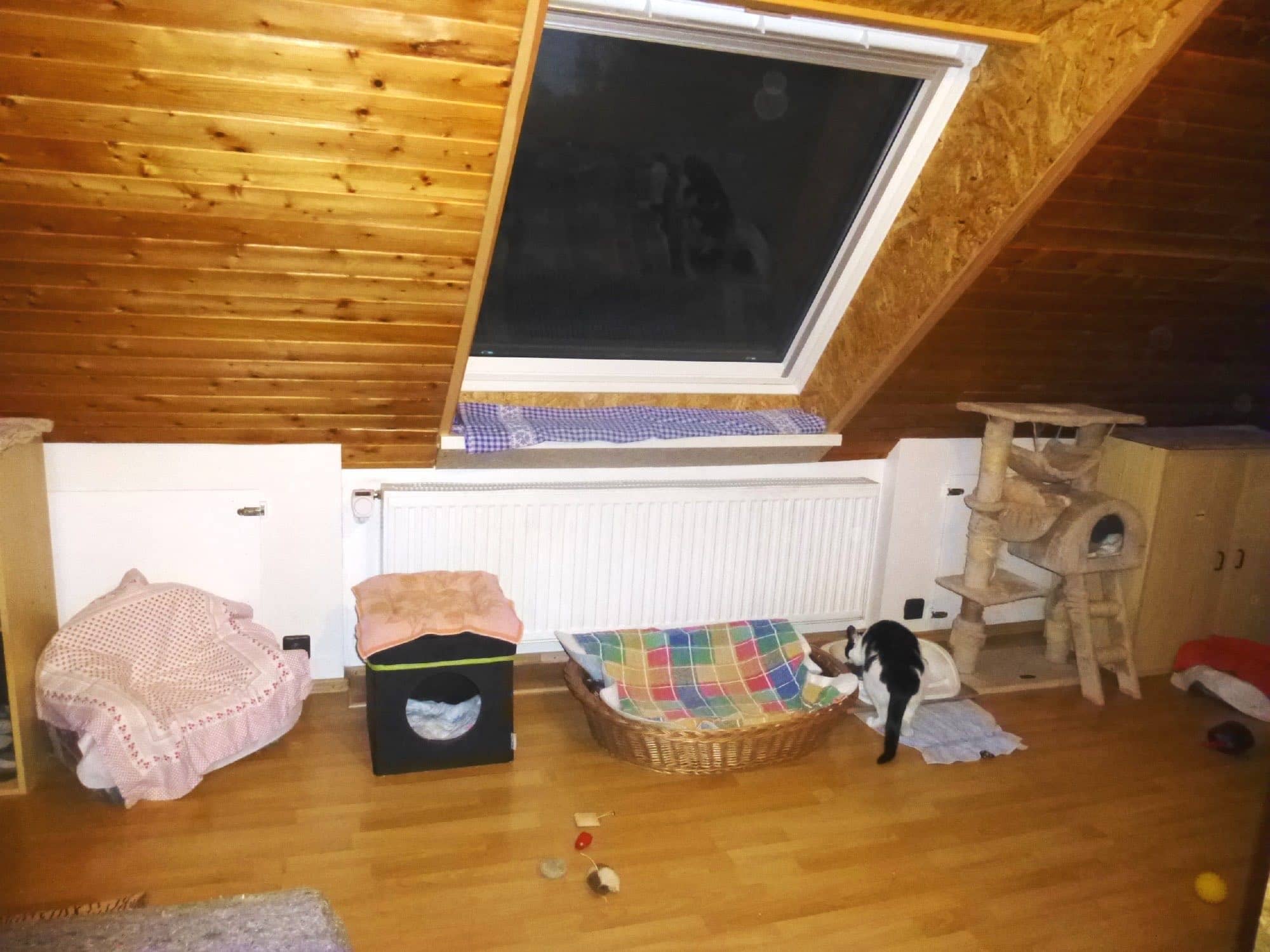 Korbliege mit karierter Decke am Heizkörper des Dachzimmers, davor eine schwarz-weiße Katze.