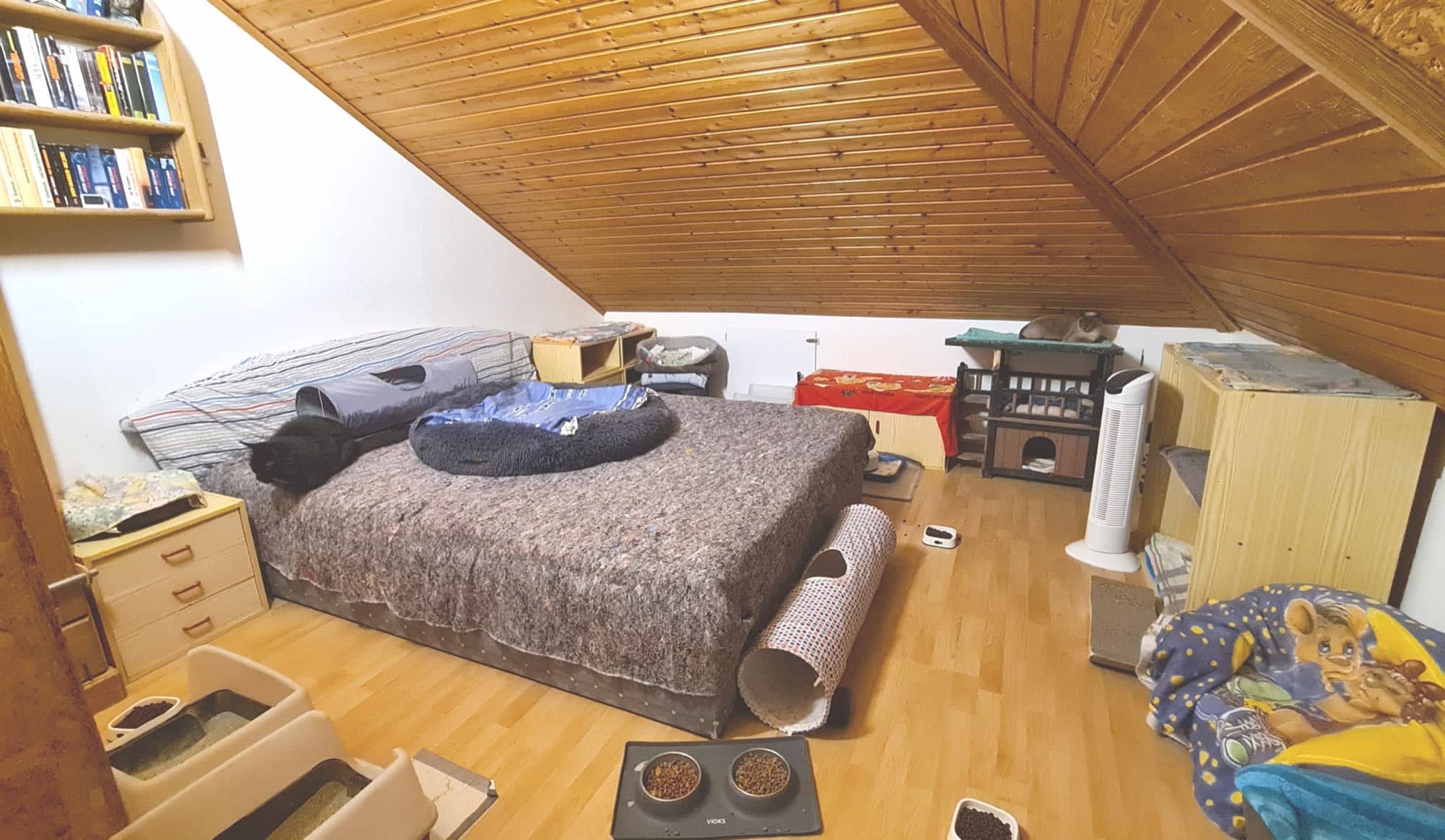 Dachzimmer mit großem Liegebett, Spieltunnel, Bücherregal und Futternäpfen unter der Holzschräge.