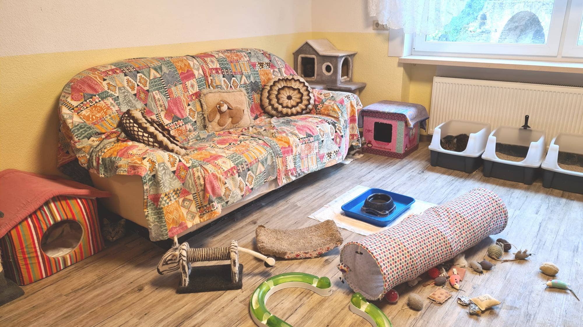 Erdgeschossraum mit Sofa unter bunter Patchworkdecke, Katzenhäuschen, Spieltunnel und mehreren offenen Katzentoiletten.